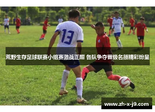 荒野生存足球联赛小组赛激战正酣 各队争夺晋级名额精彩纷呈