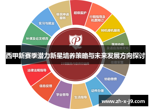 西甲新赛季潜力新星培养策略与未来发展方向探讨